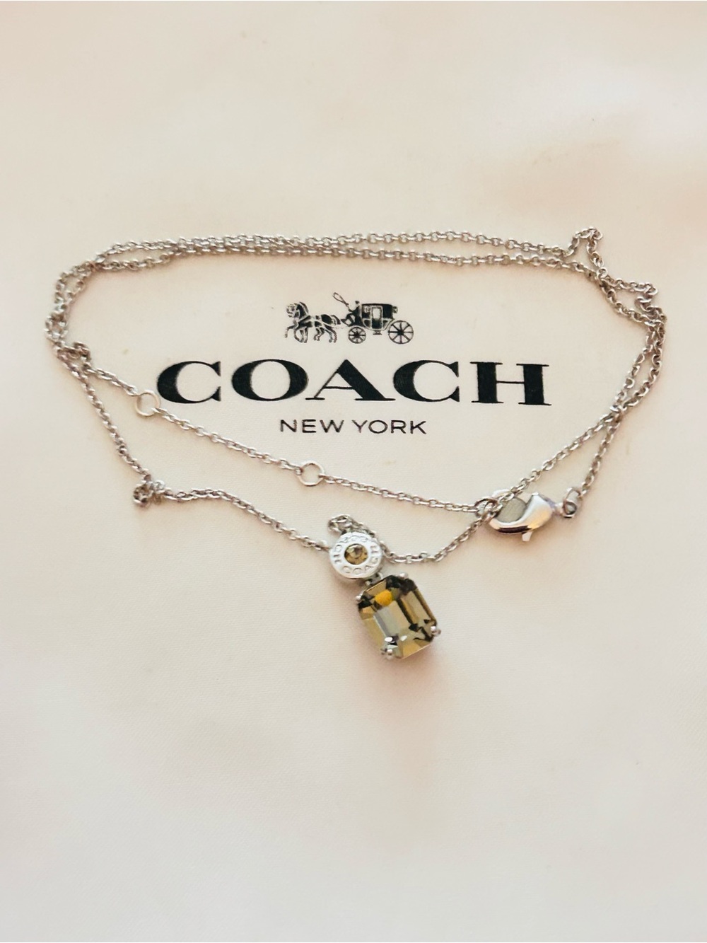 Coach Smoky Gray Stone Charm Necklace - Picture 3 of 14